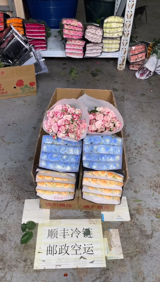 香槟20枝+碎冰蓝20枝+折射10枝