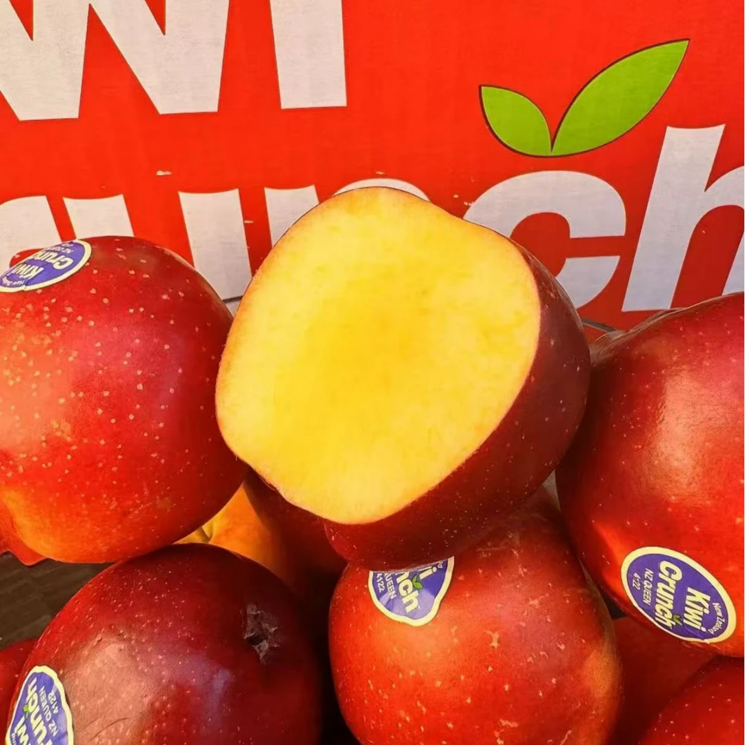 当季限量新西兰红玫瑰苹果 3-10斤装 甜脆多汁【京东快递坏果包赔】