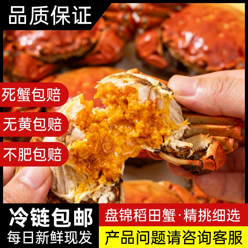 【活蟹】盘锦稻田蟹-十全十美-母蟹1•7-1•4两/只-公蟹2•3-1•7两/只