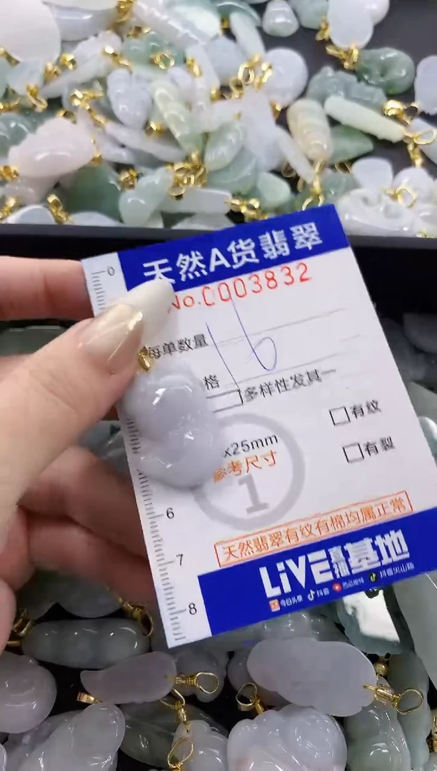 颈饰未镶嵌翡翠天然A货翡翠