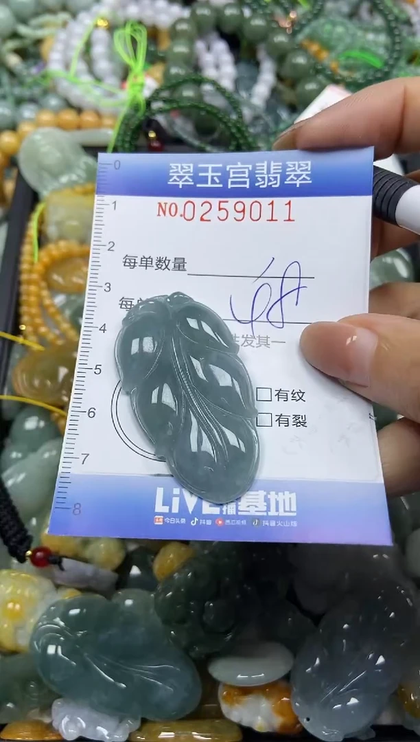 颈饰未镶嵌翡翠闪购C0259011