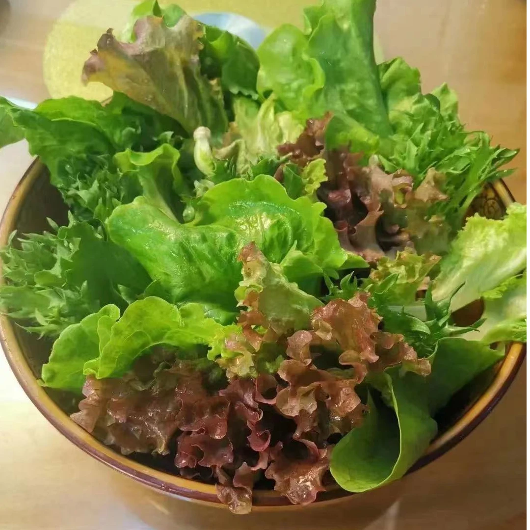 苏州大农混合水耕水培蔬菜净菜500g开袋即食基地现采现发