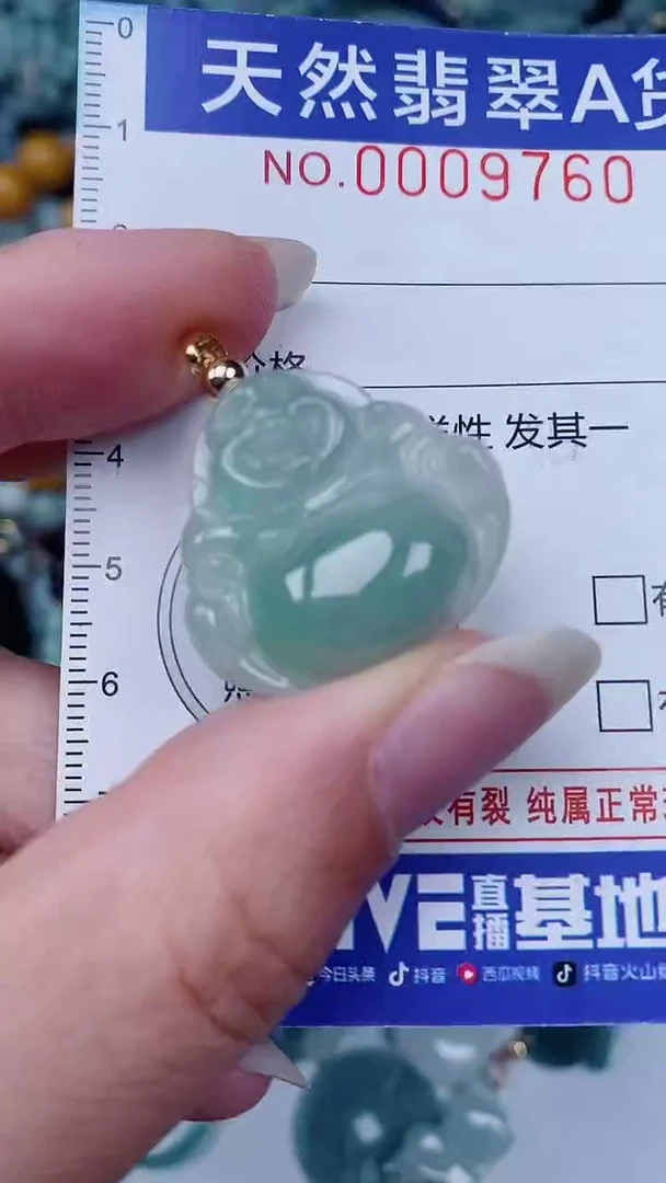 翡翠未镶嵌颈饰00009760