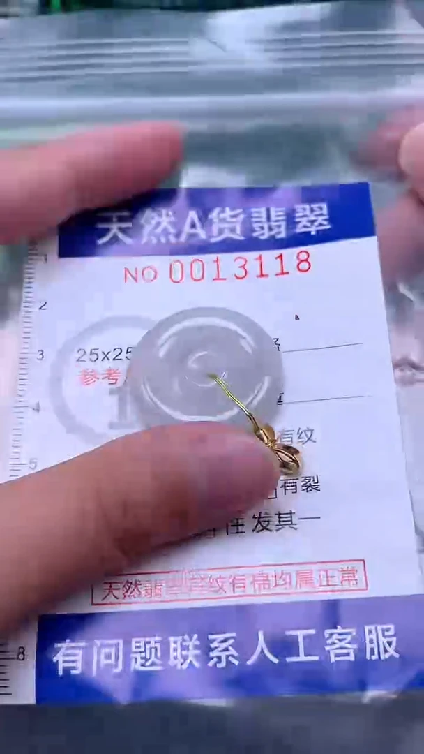 吊坠(赠链)未镶嵌翡翠1