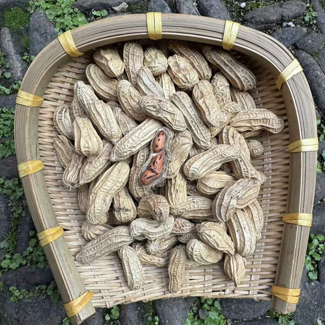 高山 农家 七彩花生