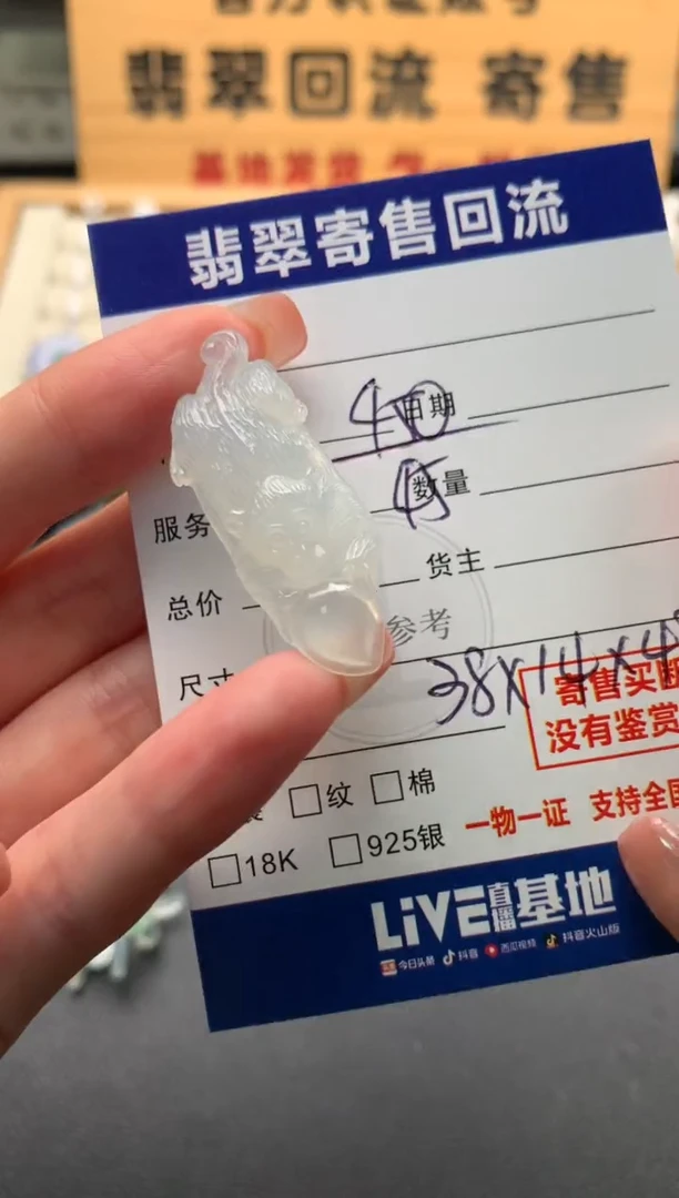 翡翠未镶嵌颈饰10142804