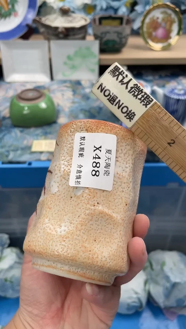 瓷片S**.X488默认微瑕闪购默认库存一件