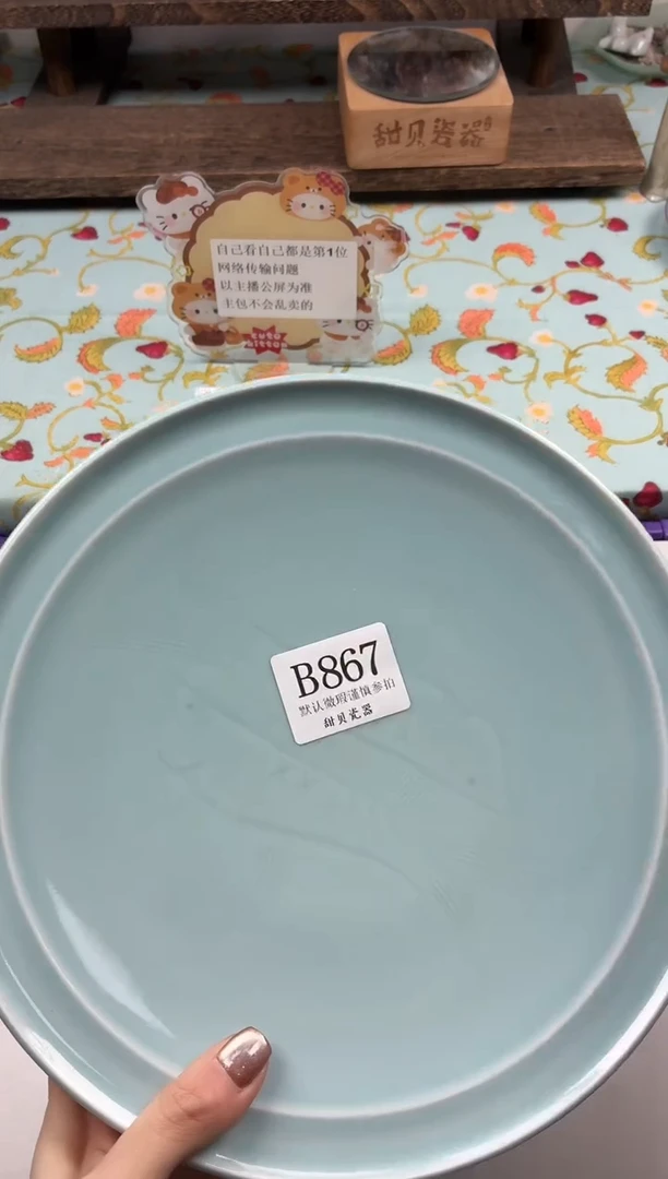 瓷片小*                B867