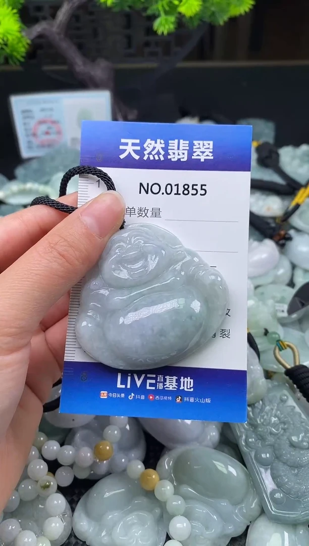 颈饰未镶嵌翡翠天然缅甸翡翠1855