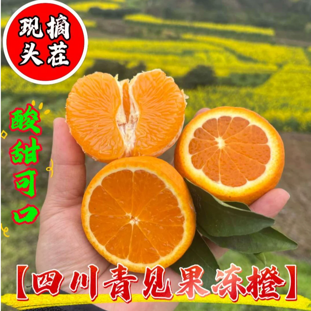 【四川青见果冻橙】酸甜可口细嫩化渣原产地直发新鲜现摘坏果包赔