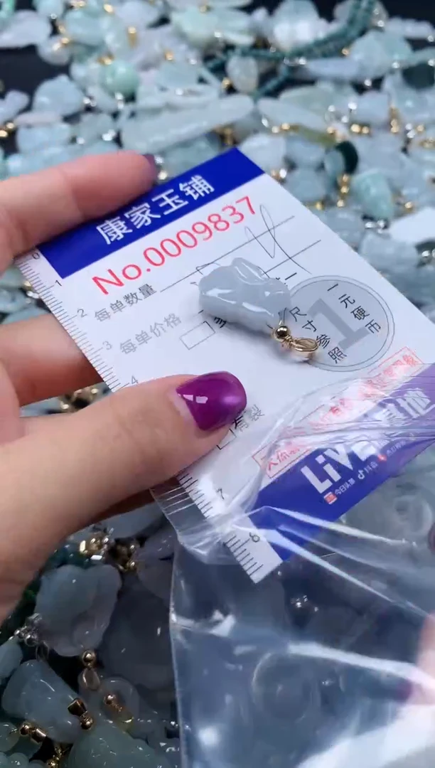 颈饰未镶嵌翡翠9837