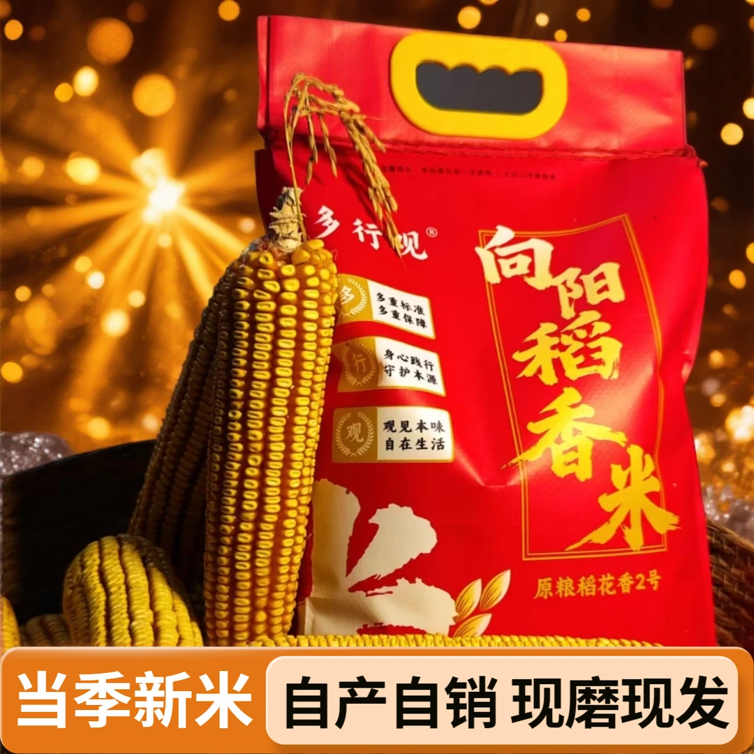 新米榆树稻香米黑土严寒东北大米一年一季煮饭清香口感软糯