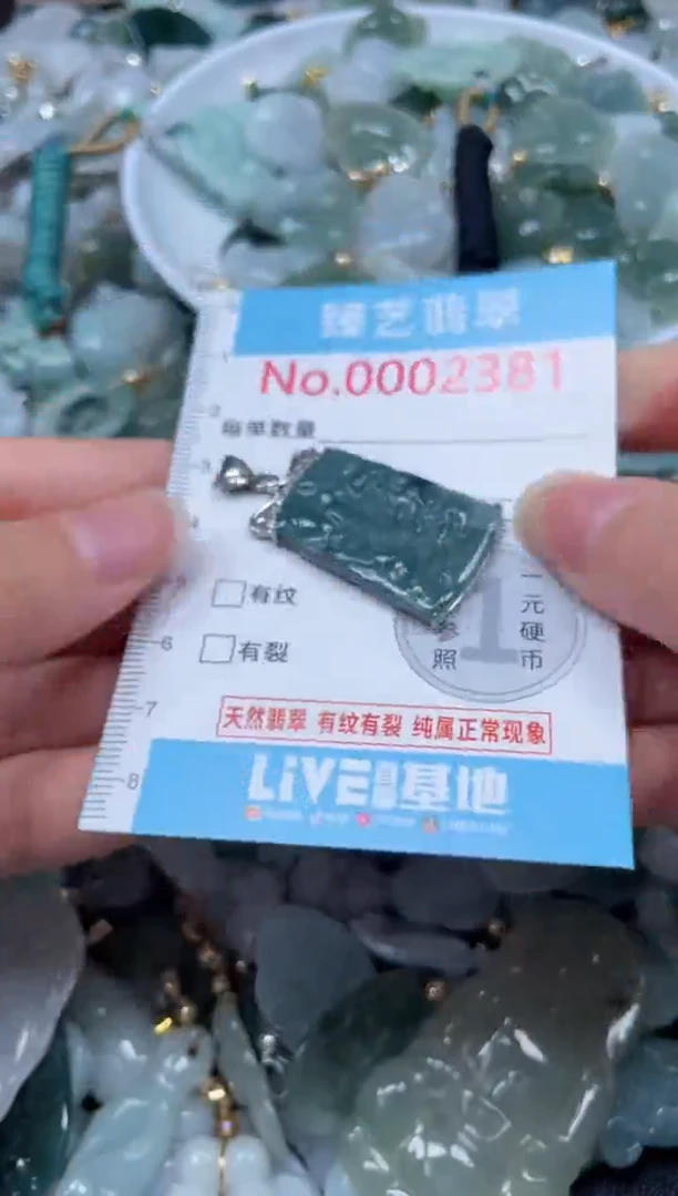 颈饰未镶嵌翡翠2381