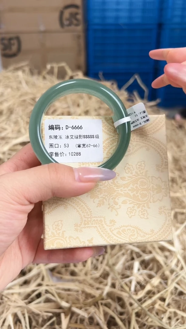未镶嵌手镯石英质玉D-6666