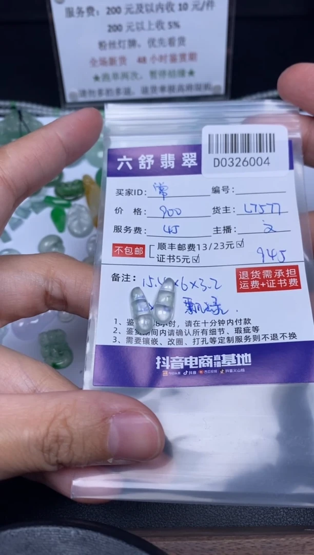 翡翠未镶嵌吊坠(不含链)D0325004