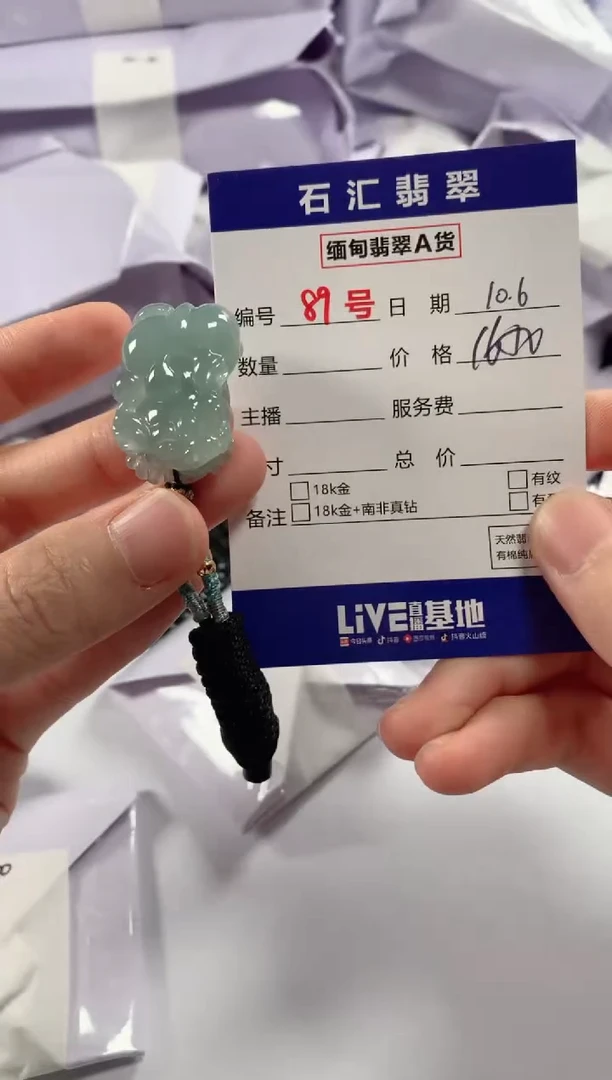 颈饰未镶嵌翡翠1