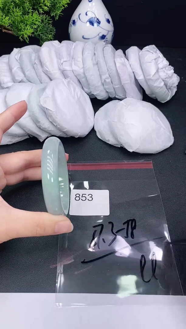 未镶嵌手镯翡翠853