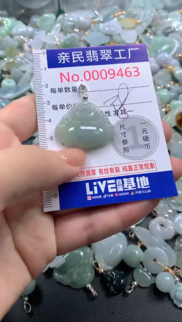 颈饰未镶嵌翡翠9463