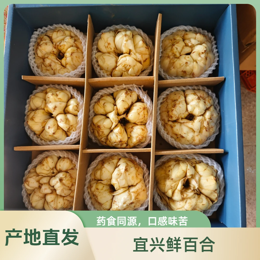 特级新鲜宜兴食用百合口感微苦软糯清香