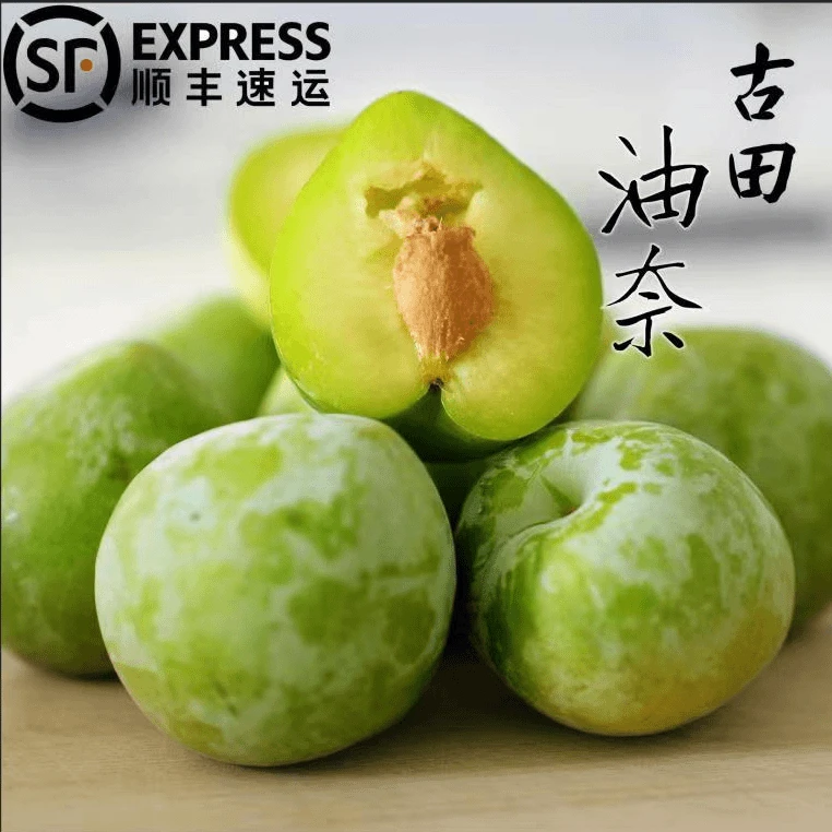 【古田油奈到手五斤】新鲜现摘青奈空心蜂糖李脆甜当季新鲜水果李子