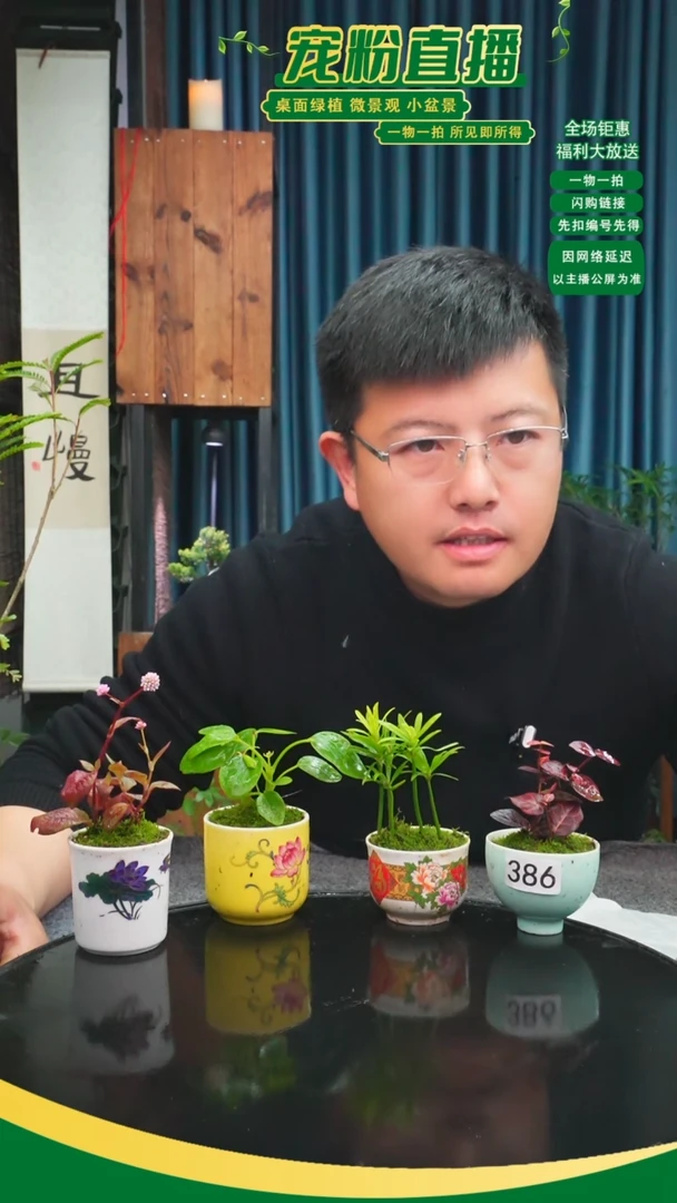 无花朵景****瓷苔藓微景观386号