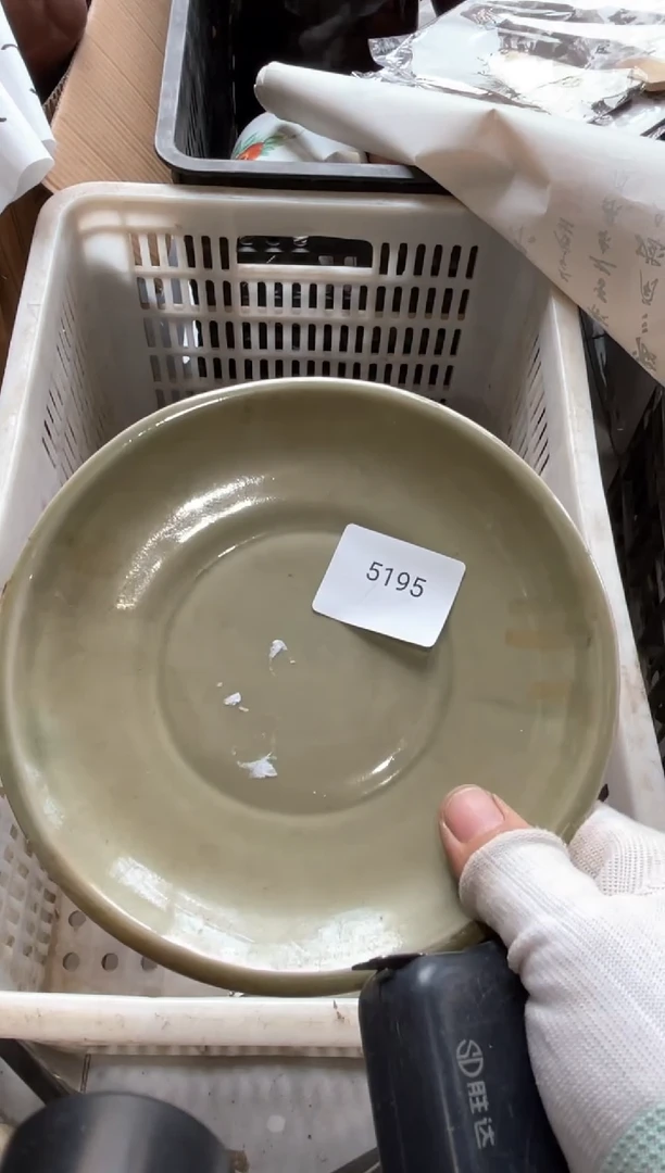 器556677882505295195