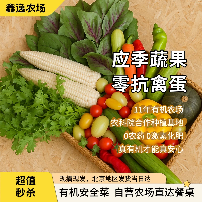 有机蔬菜自选 北京昌平现摘现发 鑫逸农场