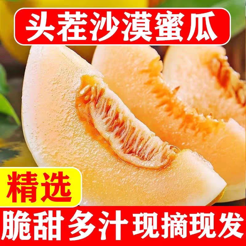 头茬沙漠蜜瓜正宗甘肃民勤蜜瓜香甜多汁新鲜沙漠甜瓜