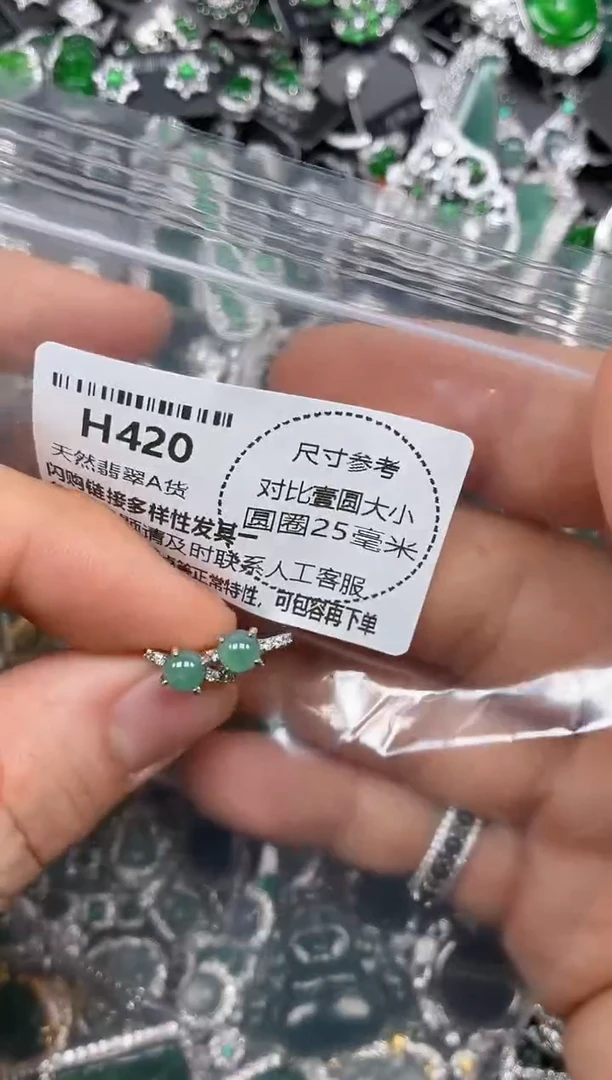 颈饰未镶嵌翡翠H420耳扣