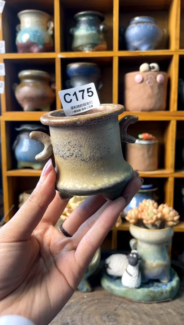 175内口4【多肉花盆多肉盆】