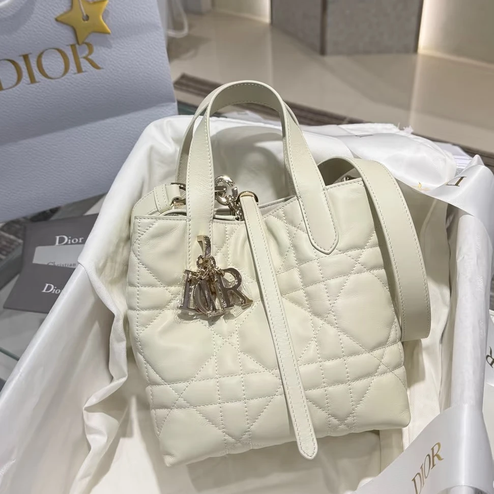 全新未使用 DIOR/迪奥  Dior toujours小号竖版白金时尚包/JM9104