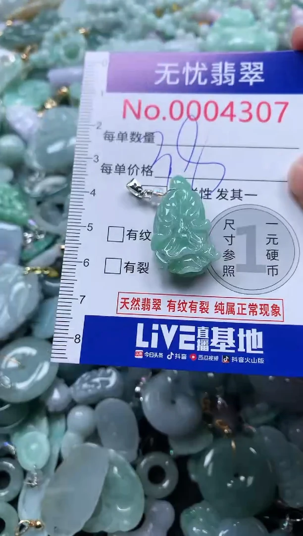 颈饰未镶嵌翡翠4307