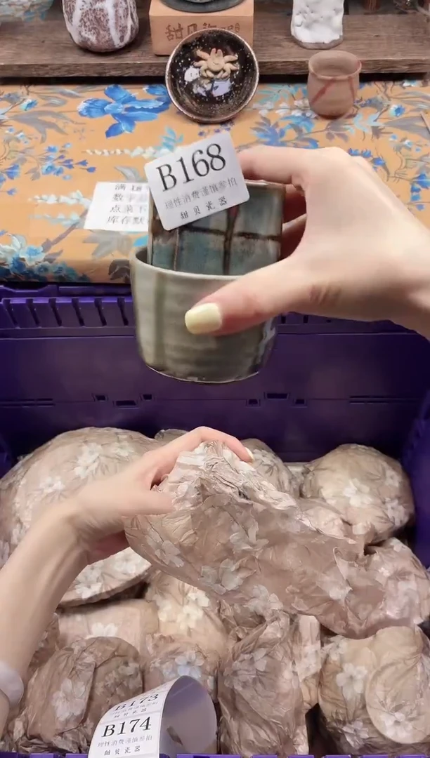 瓷片暴***龙                B168