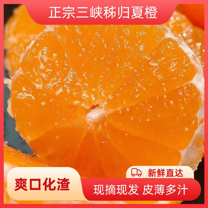 正宗湖北夏橙脐橙秭归橙子当季新鲜水果整箱斤3/5/10斤冰糖榨汁用