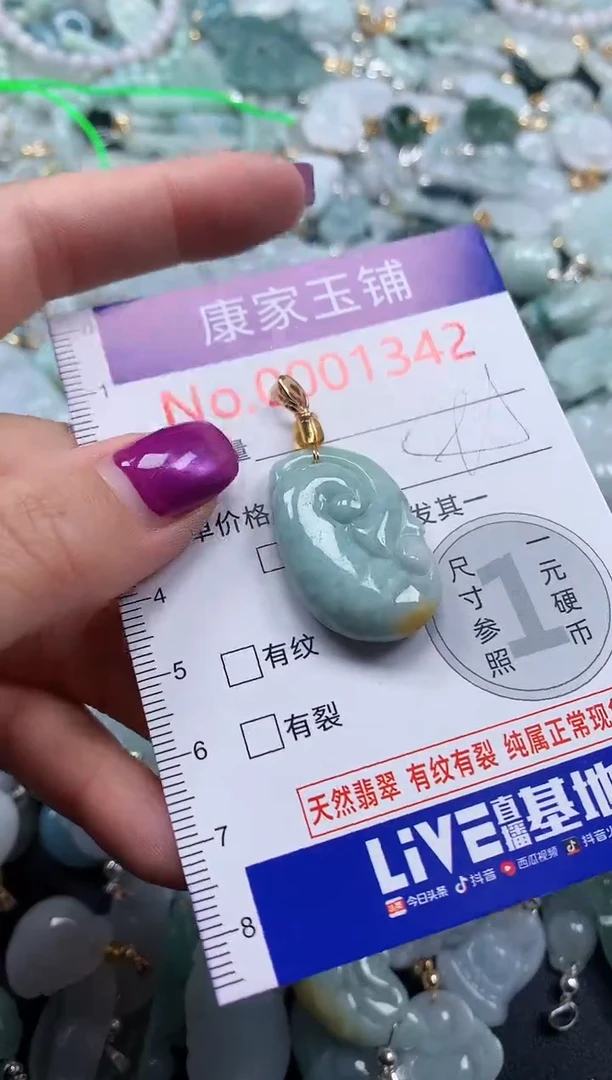 颈饰未镶嵌翡翠1342