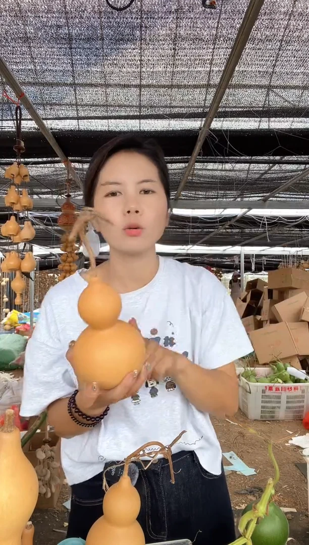 752天然葫芦摆件 一物一拍龙头不保售后
