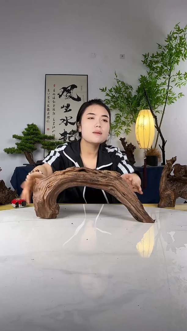 南****琪拍这个定向编号45