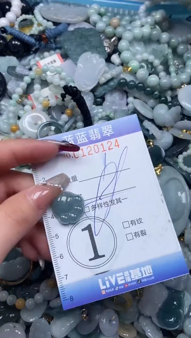 【闪购商品】翡翠颈饰未镶嵌闪购0120124多样性发其一