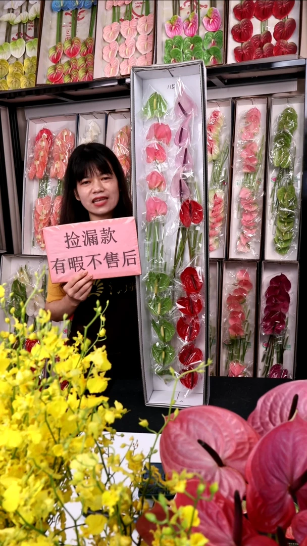 115混色迷你掌20支(15-20cm，横冠幅6cm)微瑕无售后慎拍！
