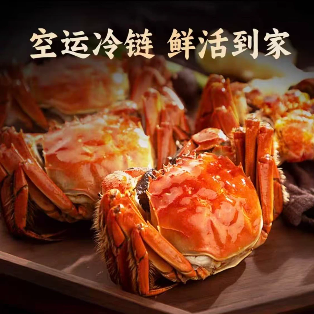 【活蟹现发】太湖精品大闸蟹2.6两-2.3两8/10只母蟹赠送礼盒中秋