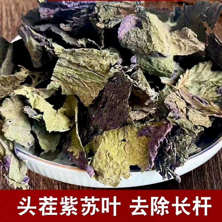 紫苏叶 净重100克 自然生长精选干叶