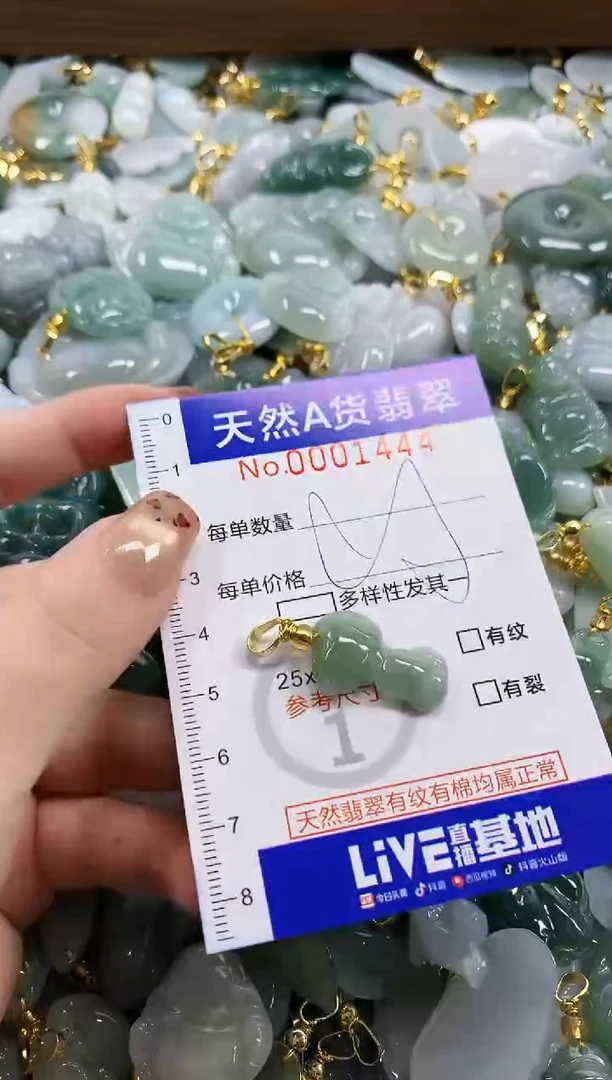 颈饰未镶嵌翡翠天然A货翡翠