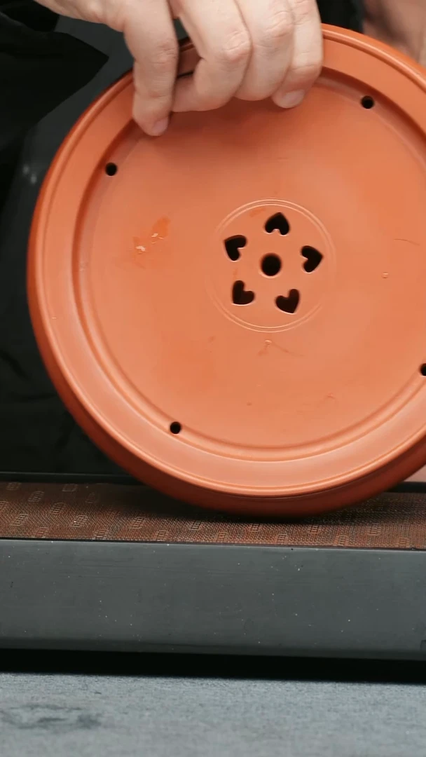 【闪购商品】紫砂茶壶五堂 熊大-8寸茶船