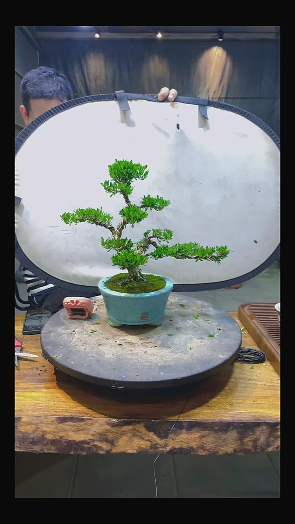完全开放郑111111111
