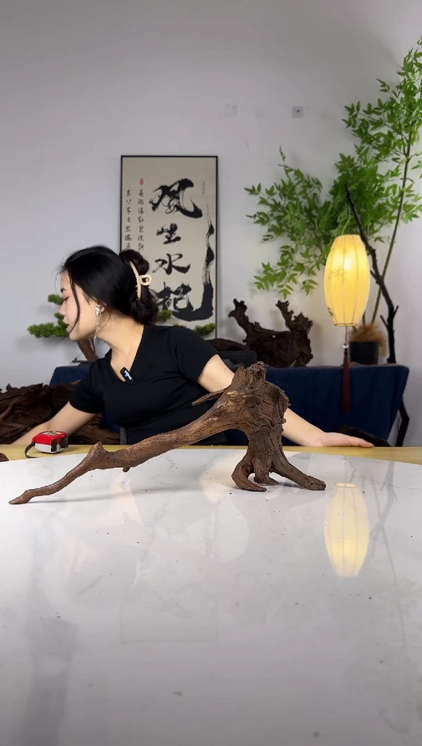 D****o拍这个定向编号90