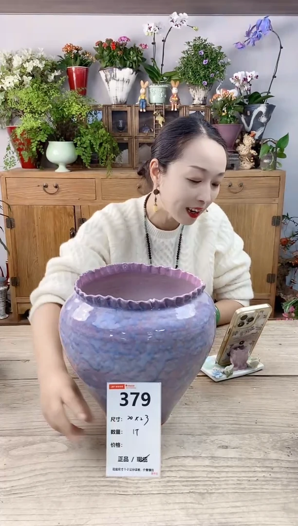 小玩子花盆直播编号379