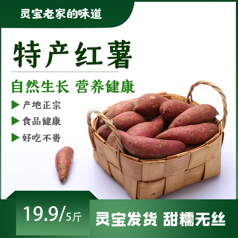 灵宝农家红薯-口感香甜现挖现发