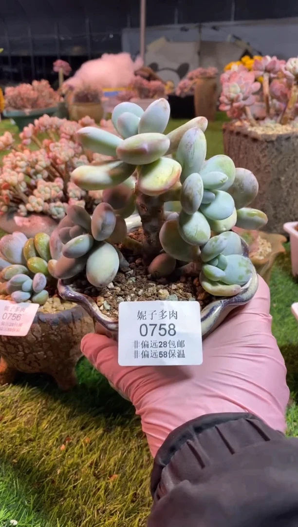 【闪购商品】0758a