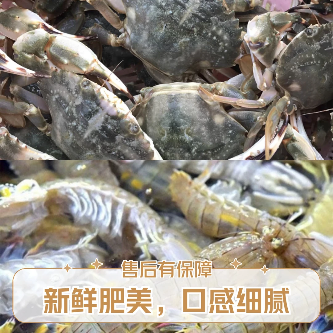 鲜活皮皮虾+花盖蟹混搭，虾1斤25条左右，花盖1斤6个左右（鲜不保活，少腿属于正常）