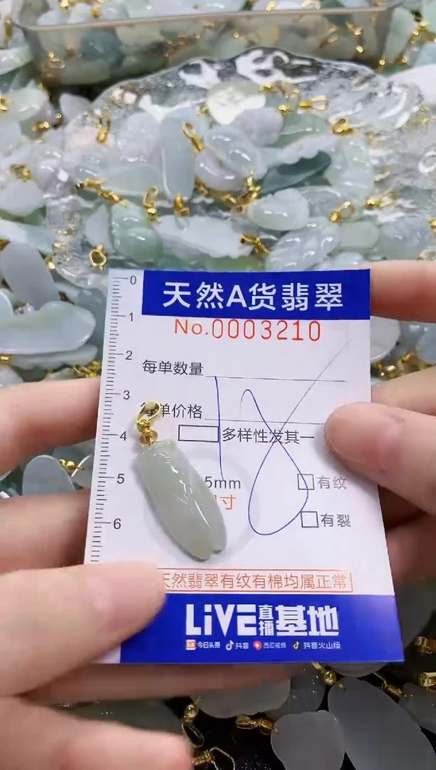 颈饰未镶嵌翡翠天然A货翡翠